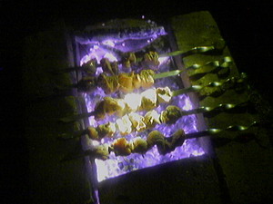 Мангал и шашлыки ночью